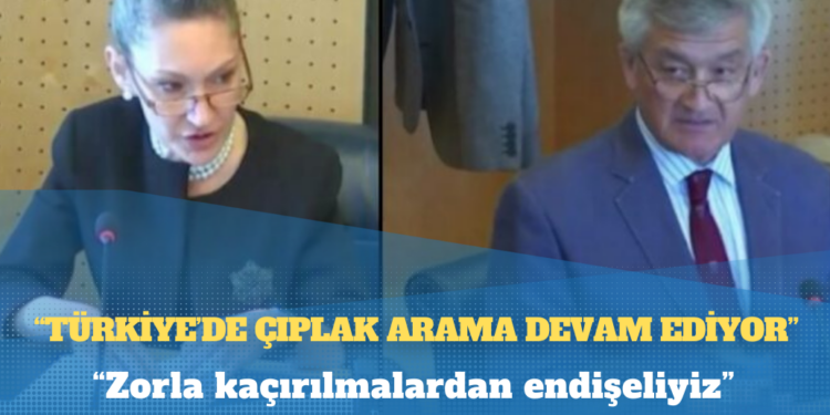 BM İşkenceyi Önleme raporu: Türkiye’de çıplak arama devam ediyor, zorla kaçırılmalardan endişeliyiz