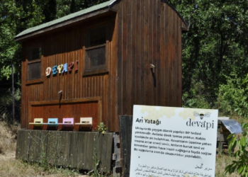 Bu Terapi Binlerce Arının Üzerine Yatarak Yapılıyor! Yabancı Turistlerin İlgi Odağı Oldu