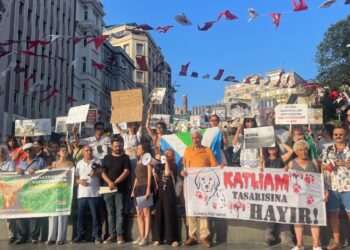 Bu kanlı yasa teklifini reddediyoruz