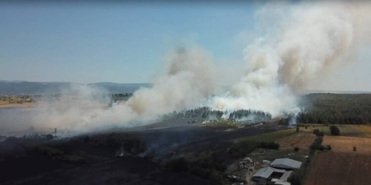 Bursa'da çıkan yangın kontrol altına alındı