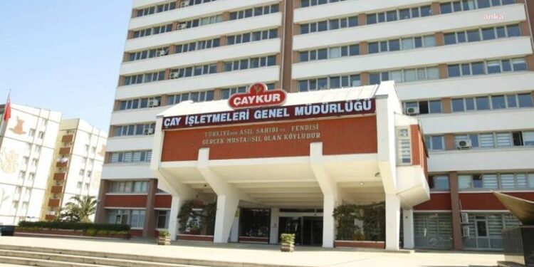 ÇAYKUR üreticilere "çay satmak için acele etmeyin" dedi, günlük 50 kilo olan alım kotasını 30 kiloya indirdi