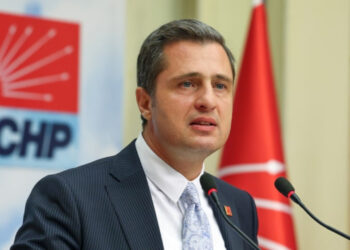 CHP'den Sokak Hayvanları Yasası Tepkisi: 'Hiçbir CHP'li Belediye Ötanaziyi Kabul Etmeyecek