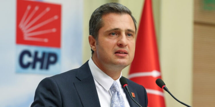 CHP'den Sokak Hayvanları Yasası Tepkisi: 'Hiçbir CHP'li Belediye Ötanaziyi Kabul Etmeyecek