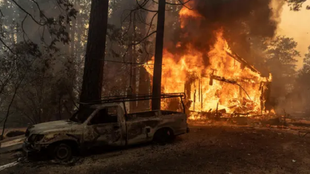 California’daki Orman Yangını: 1 Kişi Tutuklandı