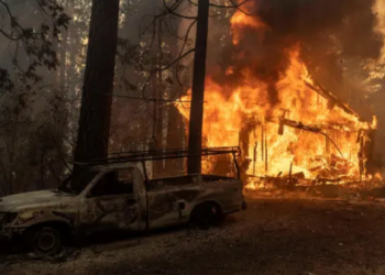 California’daki Orman Yangını: 1 Kişi Tutuklandı