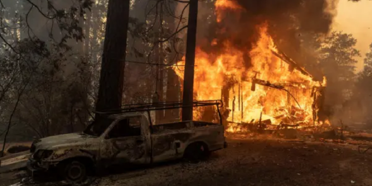 California’daki Orman Yangını: 1 Kişi Tutuklandı