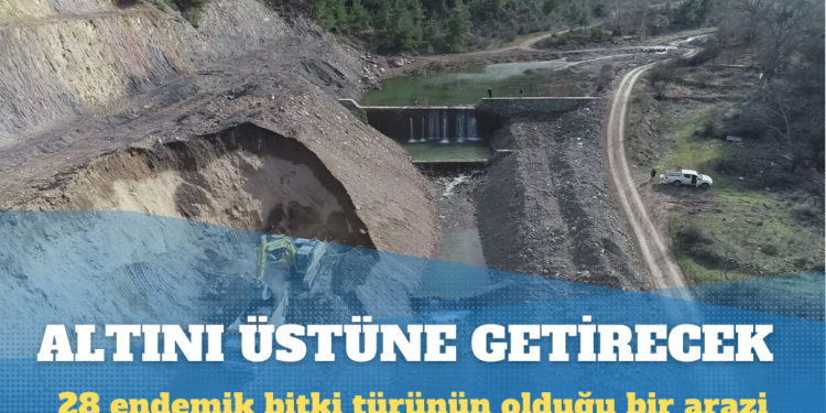 Cengiz Holding 28 endemik bitki türünün olduğu arazide altın madeni işletecek