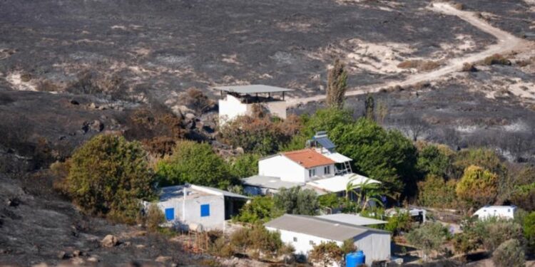 Çeşme’de ormanlık alanda yangın: 3 ölü, 4 gözaltı