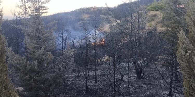 Çeşme'deki orman yangınında üç ölü, dört gözaltı