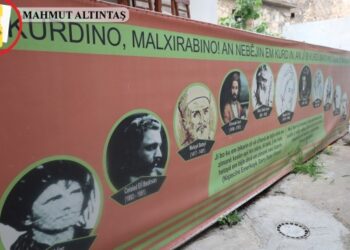 Cizîr'deki yapılara Kürtçe çağrısı: Oran düşüyor, olağanüstü girişim olmalı