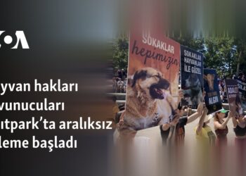 Hayvan hakları savunucuları Anıtpark’ta aralıksız eyleme başladı