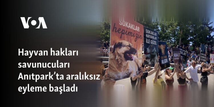 Hayvan hakları savunucuları Anıtpark’ta aralıksız eyleme başladı
