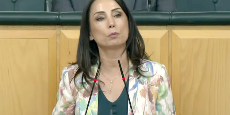 DEM Partili Hatimoğulları: Şam ile anlaşmanın yolu Kobane’den geçer