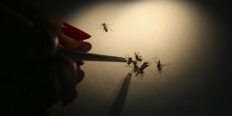 Dang Humması Alarmı: 9 Vaka Tespit Edildi