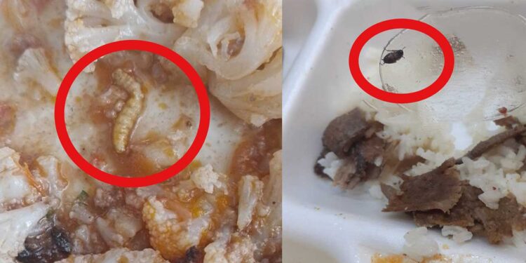 'Dicle Üniversitesi’nde yemek zehirlenmesi sonrası personele rapor verilmedi' iddiası