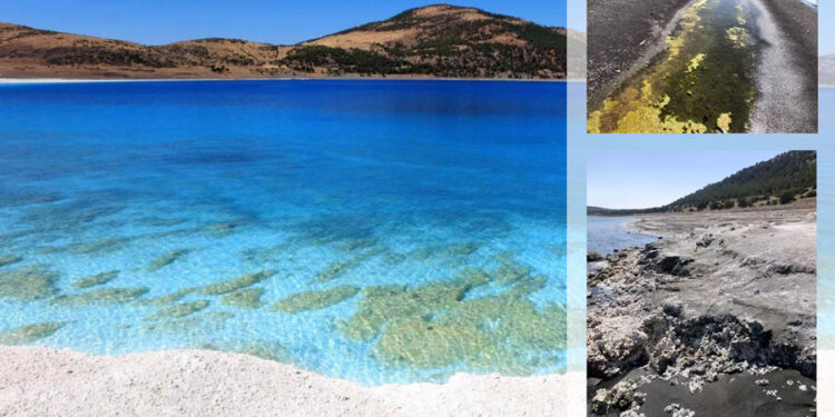 Dünya mirası Salda’da kirlilik alarmı; beyaz adacıklar kararıyor