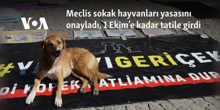 Meclis sokak hayvanları yasasını onayladı, 1 Ekim’e kadar tatile girdi