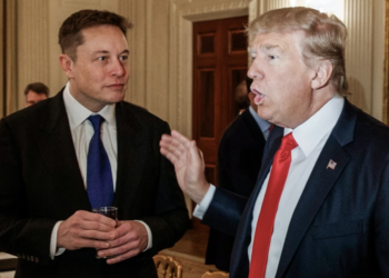 Elon Musk’tan Trump’ın kampanyasına bağış: “Oldukça büyük bir rakam”