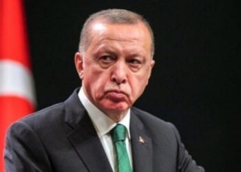 Erdoğan’a hakaret davaları özür diletmek için bir mafya ritüeli mi?