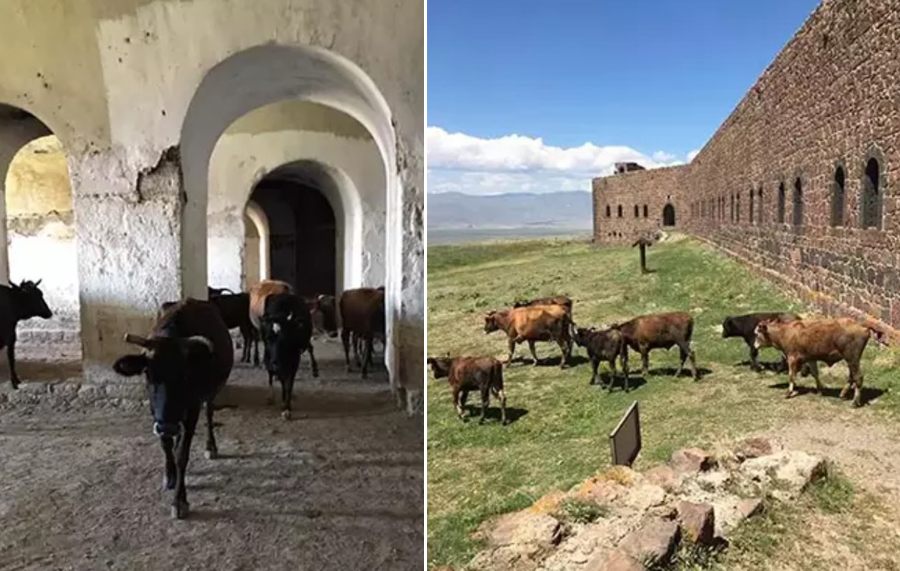 Erzurum’daki Mecidiye Tabyası, ‘ahıra döndü’