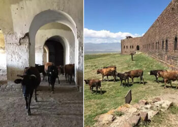 Erzurum’daki Mecidiye Tabyası, ‘ahıra döndü’