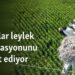 Sıcaklar leylek popülasyonunu tehdit ediyor