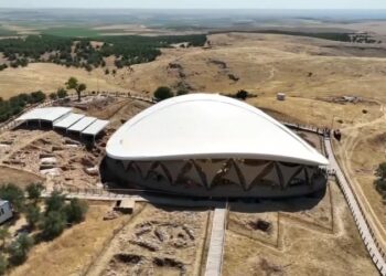 Göbeklitepe Kazı Başkanı Prof. Dr. Karul'dan yapıların üzerine ağaç dikildiği iddialarına ilişkin açıklama