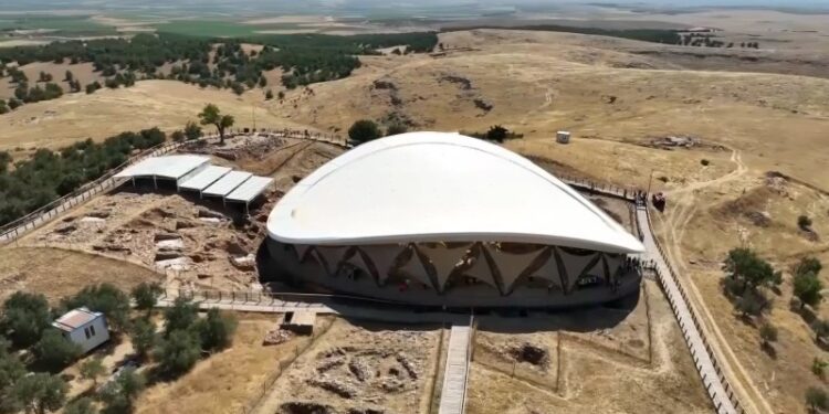 Göbeklitepe Kazı Başkanı Prof. Dr. Karul'dan yapıların üzerine ağaç dikildiği iddialarına ilişkin açıklama