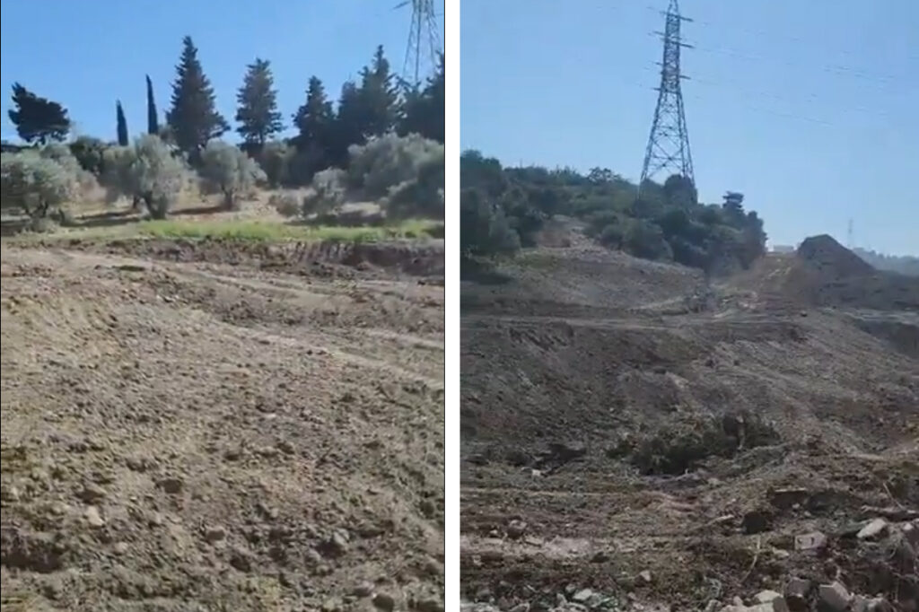 Hatay’da tapulu zeytinlik, ‘kamulaştırma’ kılıfıyla sahibinden habersiz talan edildi!