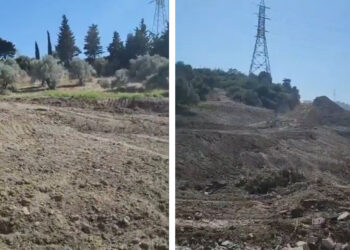 Hatay’da tapulu zeytinlik, ‘kamulaştırma’ kılıfıyla sahibinden habersiz talan edildi!