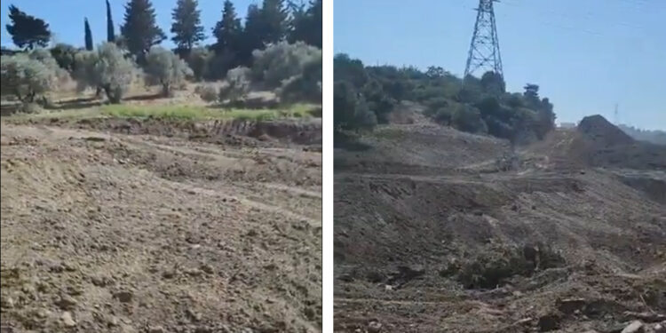 Hatay’da tapulu zeytinlik, ‘kamulaştırma’ kılıfıyla sahibinden habersiz talan edildi!