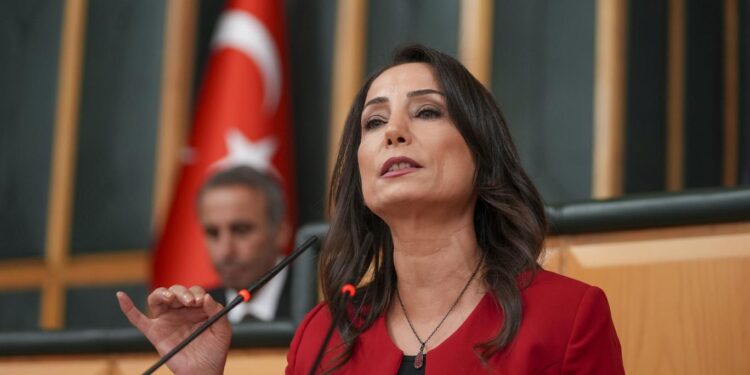 Hatimoğulları: AKP darbe mekaniğinin uygulayıcısı oldu