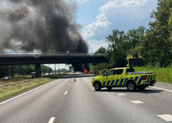 Hollanda'da Otoyola Uçak Düştü