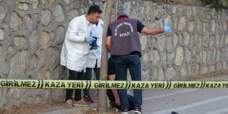 İş İnsanı Ağaca Asılı Halde Ölü Bulundu