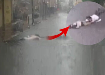 İzmir'deki Elektrik Faciasında İfadeler Ortaya Çıktı: Sorumlu İsimden Pişkin Savunma!