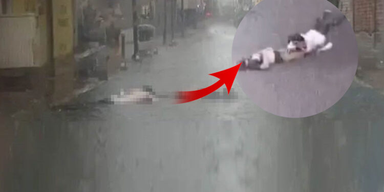 İzmir'deki Elektrik Faciasında İfadeler Ortaya Çıktı: Sorumlu İsimden Pişkin Savunma!