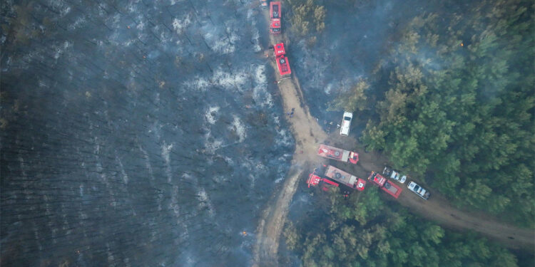 İzmir’deki orman yangını 2’nci gününde sürüyor