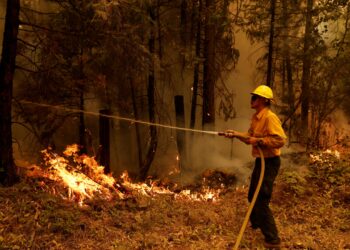 Kaliforniya, tarihinin en büyük orman yangınlarından biriyle mücadele ediyor