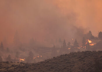 Kanada'da orman yangınları 95 bin hektarlık alana yayıldı