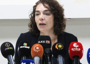 Kaya: Amed'de kayyım çetesi devrede