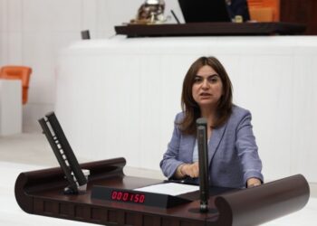 Koçyiğit: AKP Amed’te yapılacak gaspın zeminini oluşturuyor