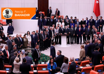 Köpek öldüren iktidar; katil AKP!