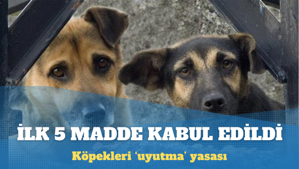 Köpekleri ‘uyutma’ yasasının ilk beş maddesi kabul edildi