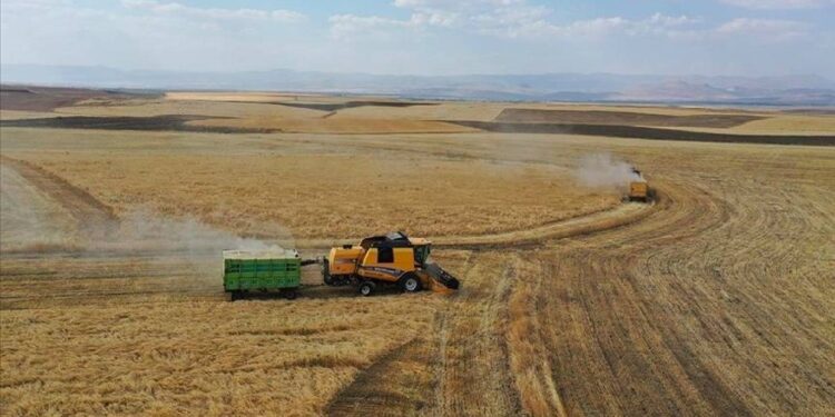 Kuraklık vurdu, rekolte düştü; süt krizi bekleniyor