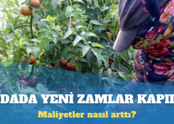 Gıdada yeni zamlar kapıda