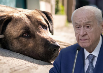 MHP'li Yönter'den Dikkat Çeken Paylaşım: Bahçeli'nin Eski Tweetini Paylaştı