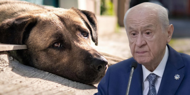 MHP'li Yönter'den Dikkat Çeken Paylaşım: Bahçeli'nin Eski Tweetini Paylaştı