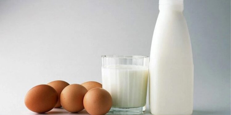 Mayısta süt üretimi azaldı, yumurta üretimi arttı