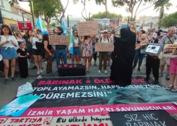 Mecliste onaylansa da uygulanmasına izin vermeyeceğiz