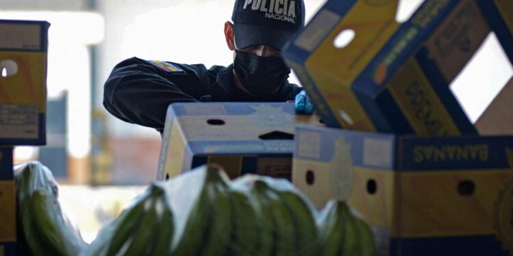 Muz sandıklarında saklanmış 6 ton kokain